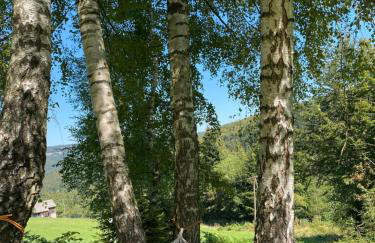 Apartamenty Carpe Diem - Photo 38