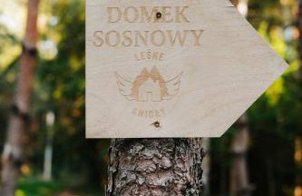 Leśne Anioły - Foto 59