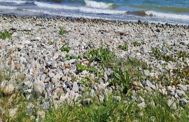 4 Person Holiday Home in Haderslev - Foto 26