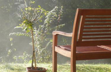 Die Wohlfühloase - Foto 18