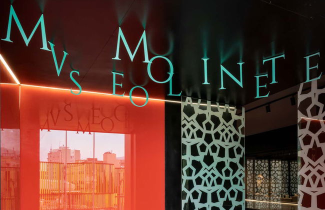 Billet pour le Musée du Forum Romain Molinete - Photo 6