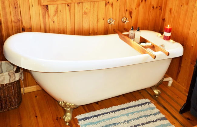 Forest Edge - Foto 45