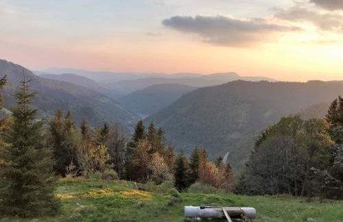 Ferienwohnung Schwarzwaldnest Feldberg - Foto 31
