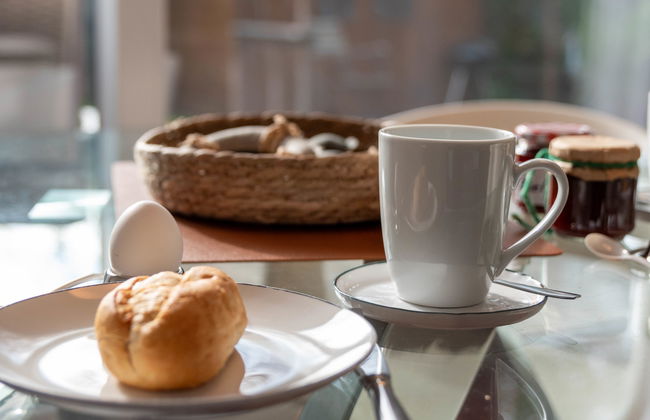 Kegelrobbe - Foto 15