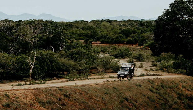 Visite du parc national de Yala