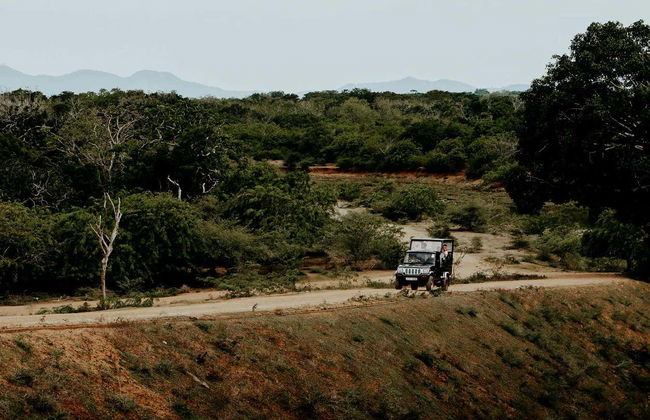 Safari privado por el Parque Nacional Yala - Foto 5