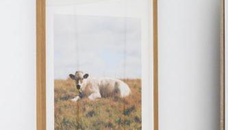 Naemi Premium Apartment Hannover - Foto 2