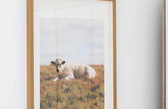 Naemi Premium Apartment Hannover - Foto 7