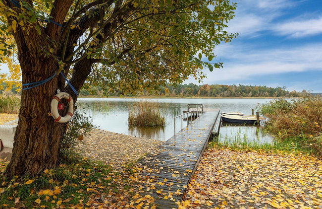 Gemutlicher Bungalow mit Garten in Nakenstorf - Foto 54