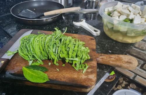 Sítio com Casa de Madeira com 2 quartos 100m2 px Centro de Salesópolis - Foto 46