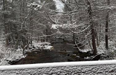 Serene Cabin between Fayetteville& Summerville WV - Foto 10