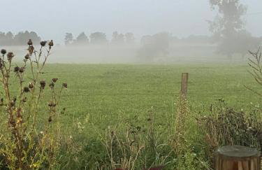 Przystanek Gałkowo - Foto 29
