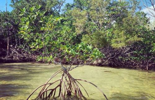 Tiny Home on Waterfront, Bay Views, Deck, Pool - Photo 31