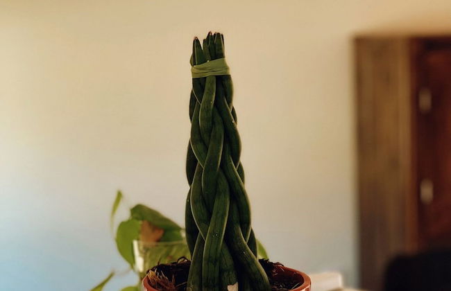 Casa Pantai Beach Village Praia do Rosa - Foto 37