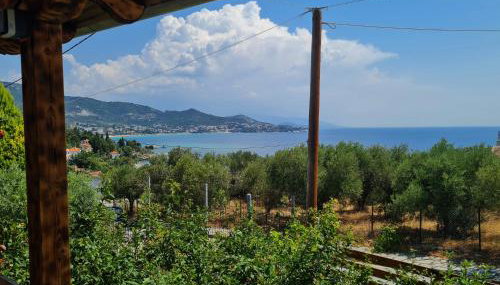 Stella's Garden - Foto 2