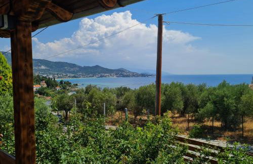 Stella's Garden - Foto 2