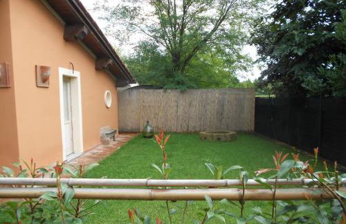 Ulivo Della Querce - Foto 12