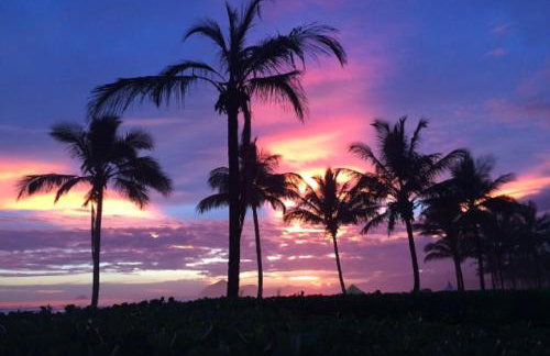 Condominio Reserva da Mata - Riviera de São Lourenço - Foto 51