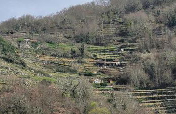 cabaña do rei - Foto 50