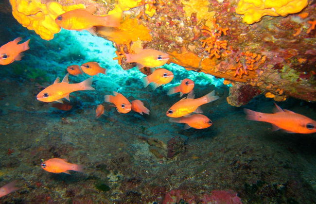 Nymphes Luxury Apartments - Foto 46