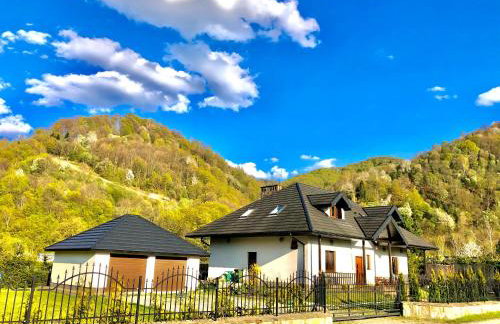 Willa Jagoda duży domek w górach 12-15 osób,jacuzzi, kominek,bilard - Foto 4