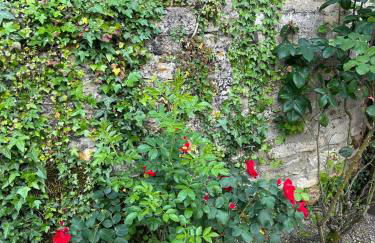 Domaine Paulette, Maison Paulette - Foto 46