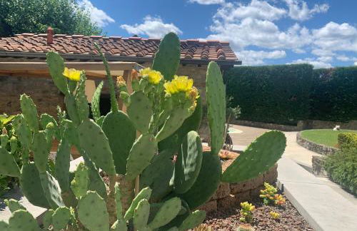 Appartamento in Villa con Piscina - Mhateria Relais - Foto 11