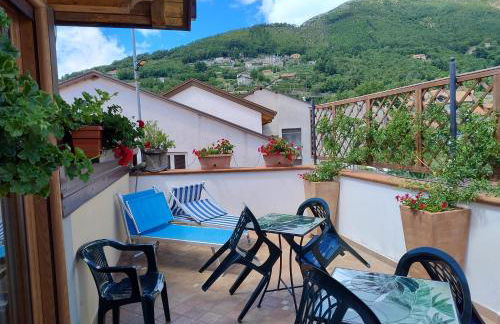 Hakuna Matata tra sentieri - Foto 4