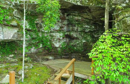 Wonderland Cabin - Enchanting Lakeside Sanctuary - Foto 25