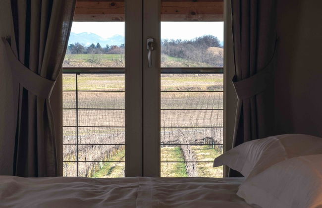 Relais Agriturismo Casina Ricchi - Foto 18