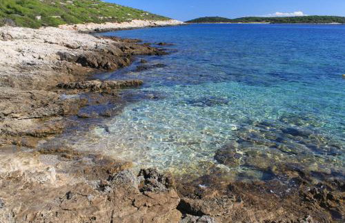 Apartments by the sea Brgujac, Vis - 8899 - Foto 6