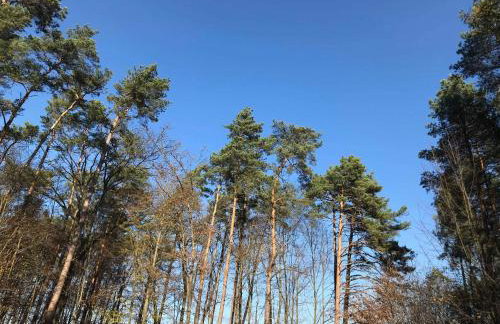 Domki RADAWA na Kliszówce - Foto 49