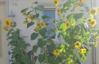 Apartment Appartement in Beuren mit Terrasse und Grill by Interhome - Foto 26