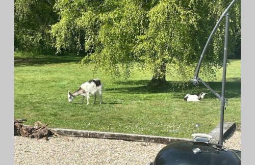 Les Gites de Claire - Foto 46