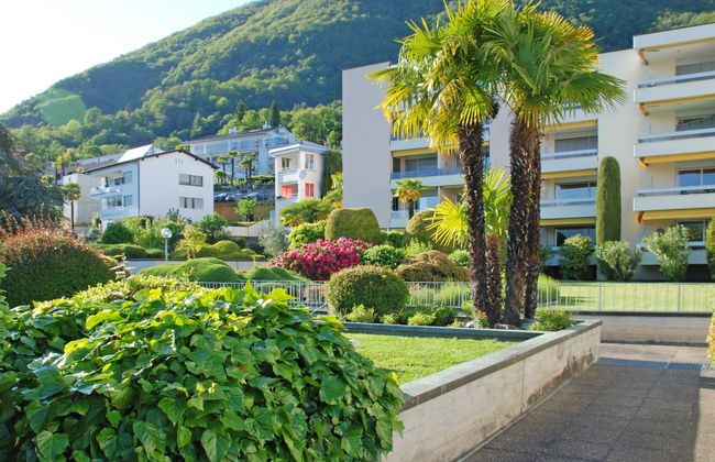 Vista Panorama - Foto 21