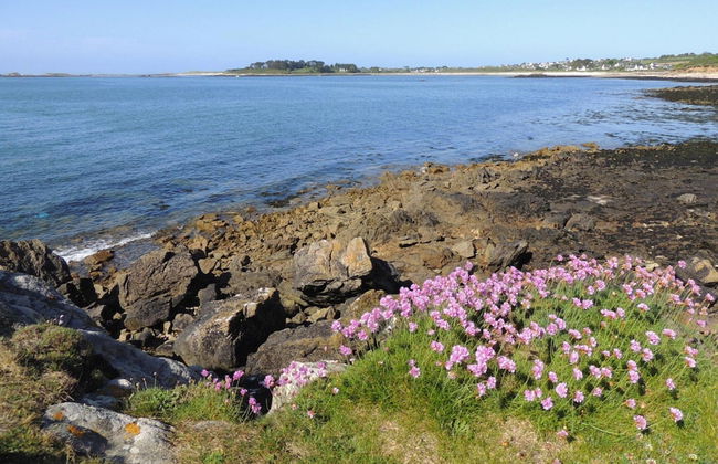 Wooden House in Brittany Near Sandy Beach - Foto 23