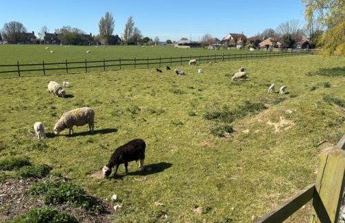 Walland Cottage Romney Retreat - Foto 4