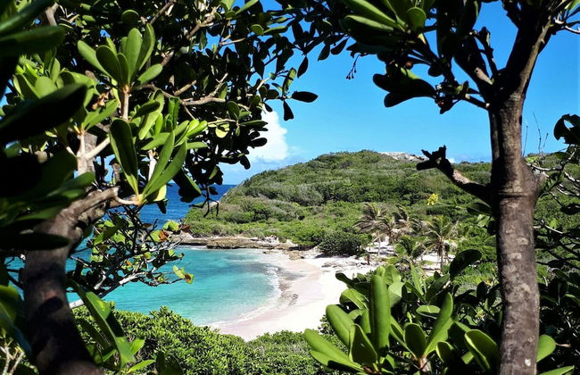 Gîte Cannelle - Foto 37