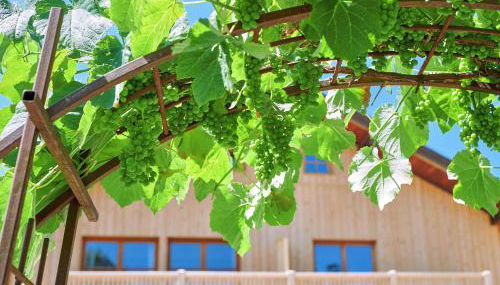 Ferienwohnung zwischen Burghausen und Salzburg - Foto 3