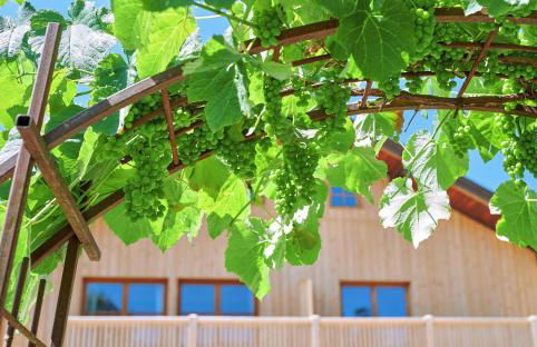 Ferienwohnung Zimmer Tittmoning Stadtplatz 27 - Foto 9