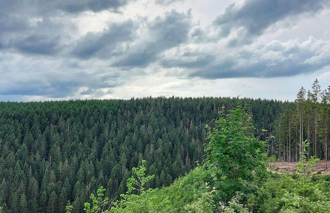 Spacious Holiday Home in Malmedy near Nature Parc High Venn - Foto 43