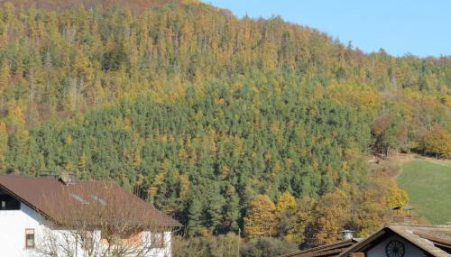 Traumblick Am Bartelsborn - Foto 1