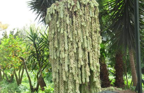 Terre del Cardinale Country Suites - Foto 27