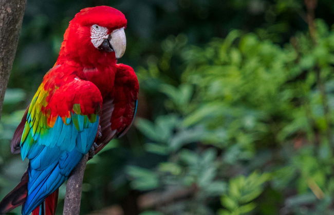 Güembé Biocentre Day Trip - Foto 3