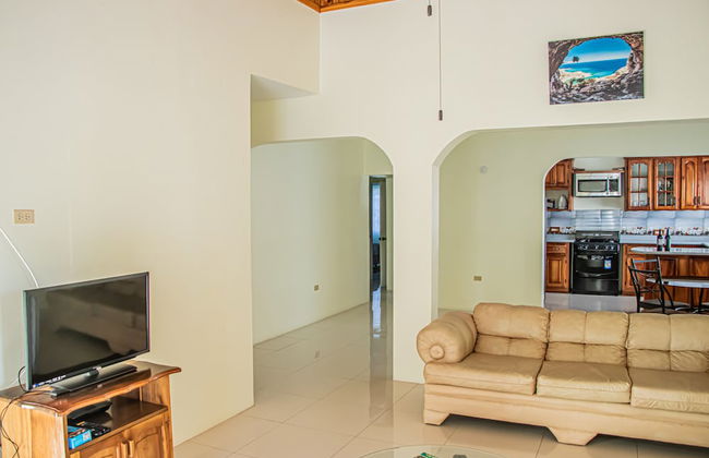 CARNATION 156 - Foto 21