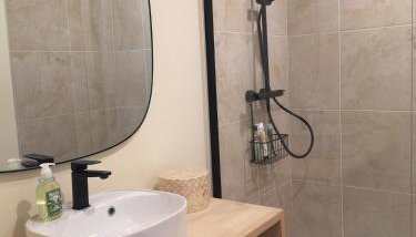 Le GINGKO ZEN EPINAL - Foto 3, Shower