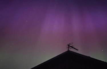 Wildflower Eco Lodges - Foto 53