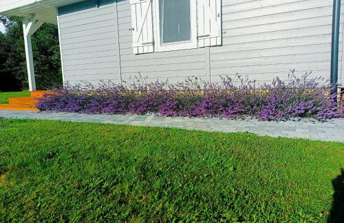 Nowy Domek na Mazurach - łowisko ryb - Foto 32