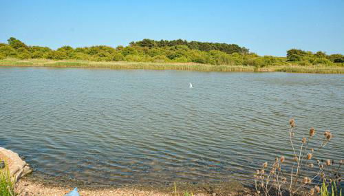beautiful eco-beach house next to bird reserve - Foto 4