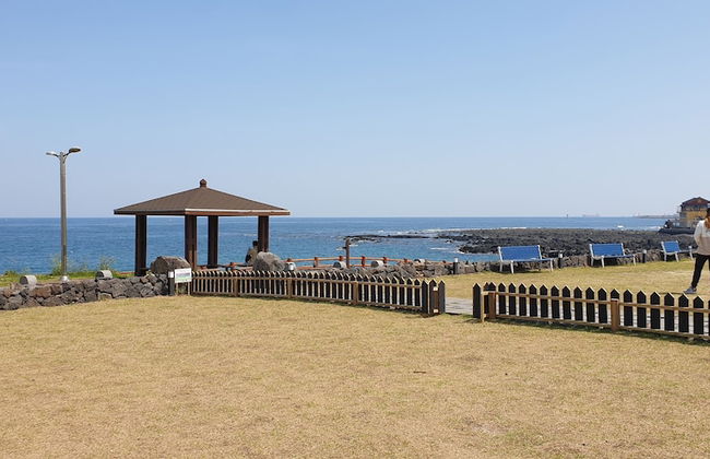 Jeju Ollero - Foto 31